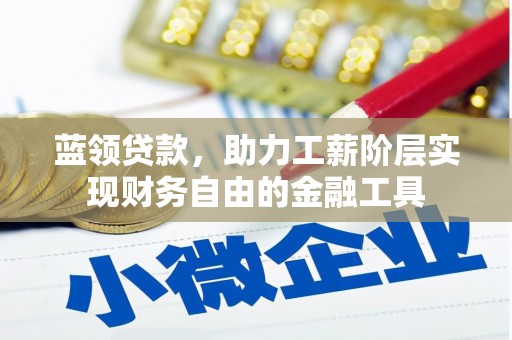 布拖蓝领贷款，助力工薪阶层实现财务自由的金融工具