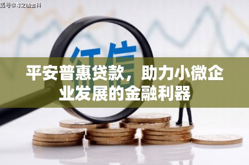 布拖平安普惠贷款，助力小微企业发展的金融利器