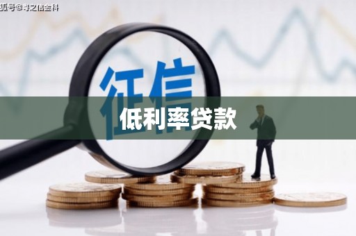 布拖低利率贷款